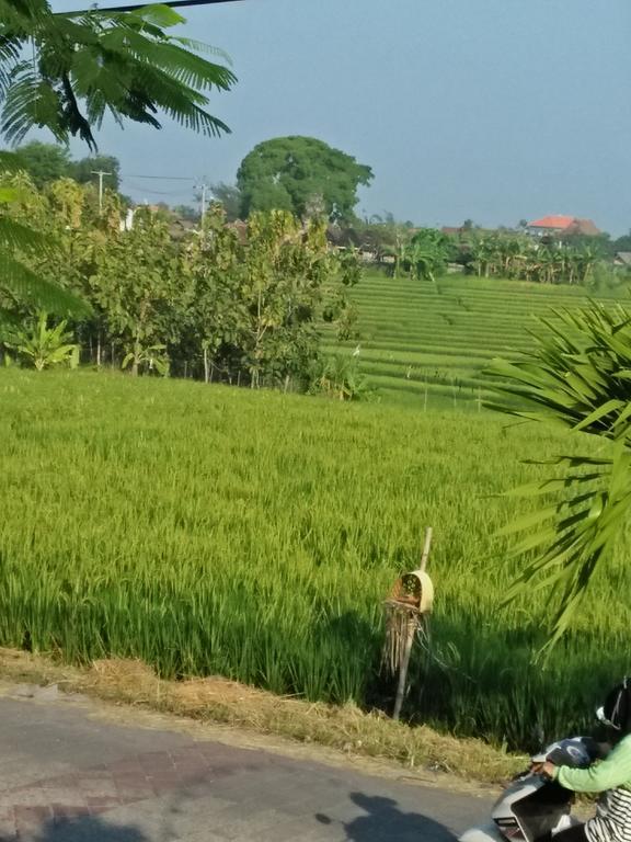 The Wina Guest House 2 Canggu Buitenkant foto